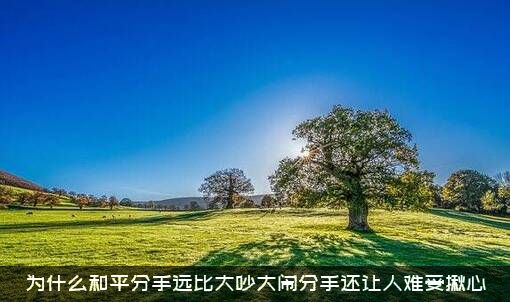 为什么和平分手远比大吵大闹分手还让人难受揪心？