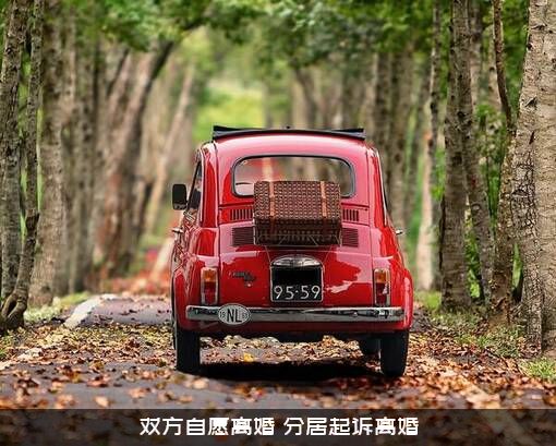 双方自愿离婚（分居起诉离婚）