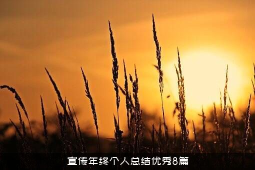 宣传年终个人总结优秀8篇