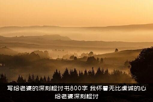 写给老婆的深刻检讨书800字（，我怀着无比虔诚的心给老婆深刻检讨）