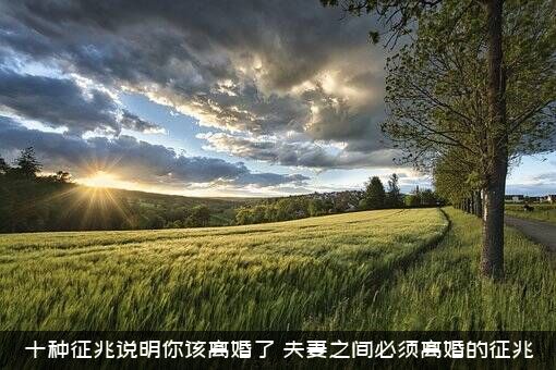 十种征兆说明你该离婚了（夫妻之间必须离婚的征兆）