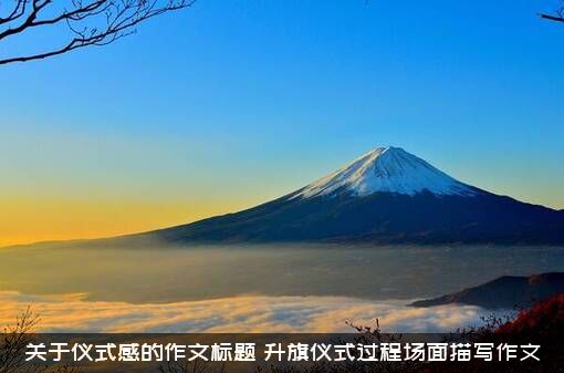 关于仪式感的作文标题（升旗仪式过程场面描写作文）