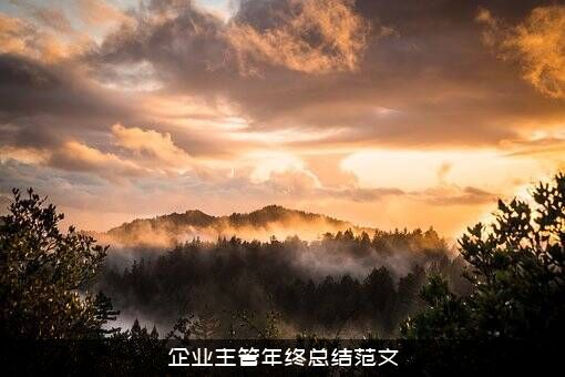 企业主管年终总结范文