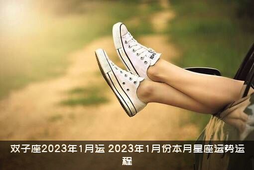 双子座2023年1月运（2023年1月份本月星座运势运程）