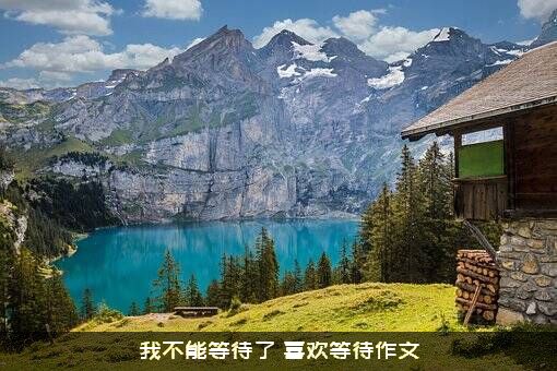 我不能等待了（喜欢等待作文）