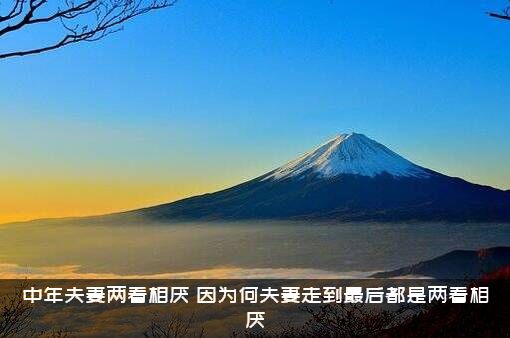 中年夫妻两看相厌（因为何夫妻走到最后都是两看相厌?）