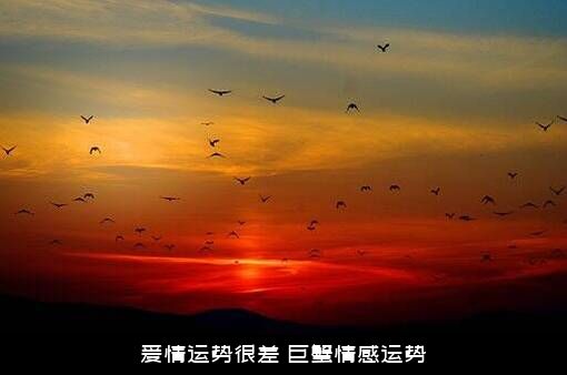 爱情运势很差（巨蟹情感运势）