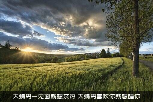 天蝎男一见面就想亲热（天蝎男喜欢你就想睡你）
