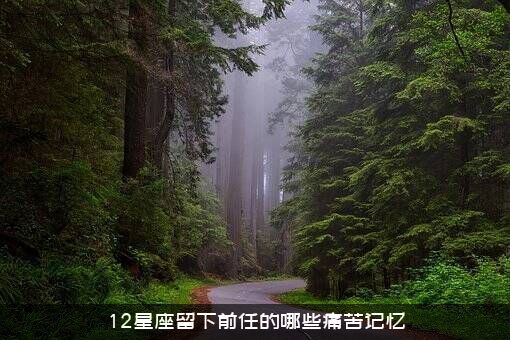 12星座留下前任的哪些痛苦记忆？