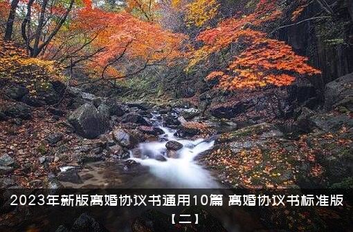 2023年新版离婚协议书通用10篇（离婚协议书标准版【二】）