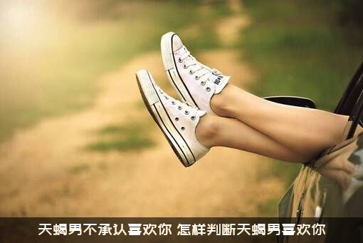 天蝎男不承认喜欢你，怎样判断天蝎男喜欢你？