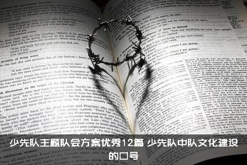 少先队主题队会方案优秀12篇，少先队中队文化建设的口号