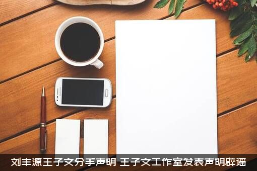 刘丰源王子文分手声明（王子文工作室发表声明辟谣）