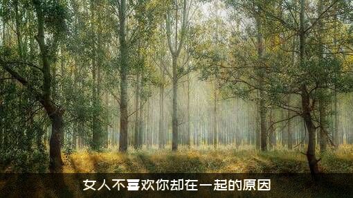 女人不喜欢你却在一起的原因