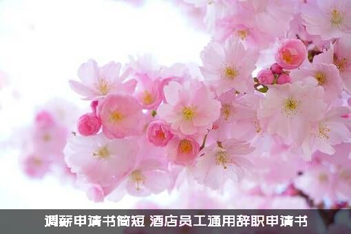 调薪申请书简短（酒店员工通用辞职申请书）
