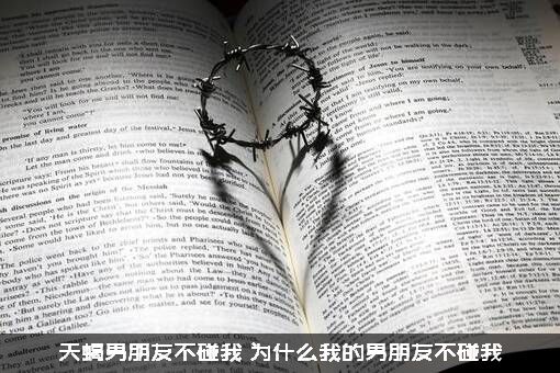 天蝎男朋友不碰我，为什么我的男朋友不碰我？