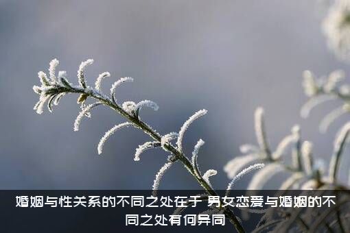 婚姻与性关系的不同之处在于，男女恋爱与婚姻的不同之处有何异同?