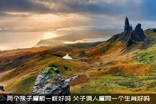 两个孩子属相一样好吗？父子俩人属同一个生肖好吗？