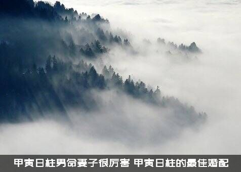 甲寅日柱男命妻子很厉害（甲寅日柱的最佳婚配）
