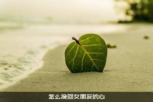 怎么挽回女朋友的心？