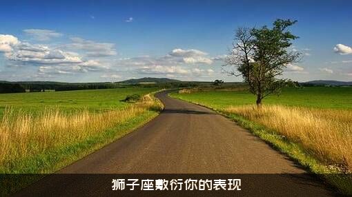 狮子座敷衍你的表现