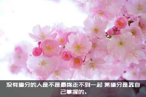 没有缘分的人是不是最终走不到一起？第缘分是靠自己掌握的。