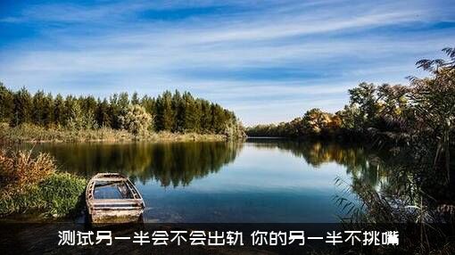 测试另一半会不会出轨（你的另一半不挑嘴）