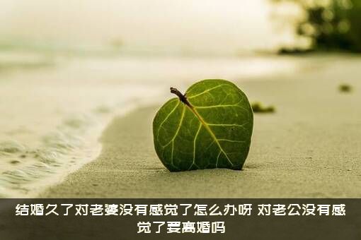 结婚久了对老婆没有感觉了怎么办呀?对老公没有感觉了要离婚吗? 结婚久了对老婆没有感觉了怎么办呀?对老公没有感觉了要离婚吗?