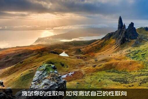 测试你的性取向，如何测试自己的性取向？