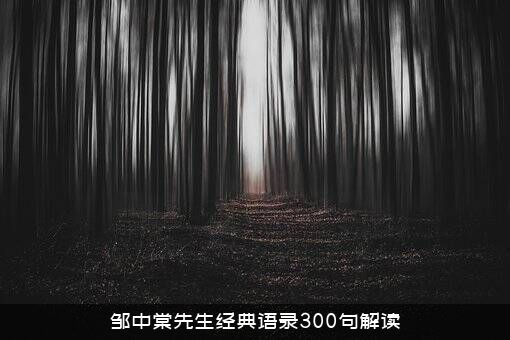 邹中棠先生经典语录300句解读