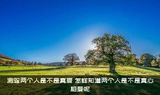 测验两个人是不是真爱？怎样知道两个人是不是真心相爱呢?？