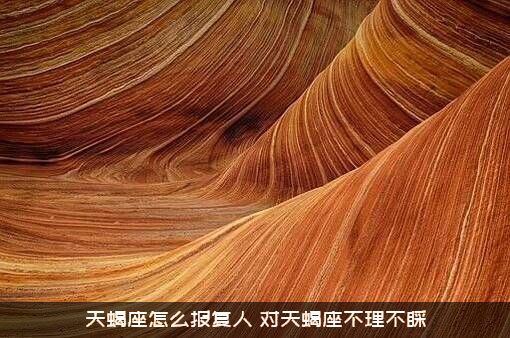 天蝎座怎么报复人？对天蝎座不理不睬