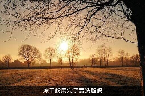 冻干粉用完了要洗脸吗？