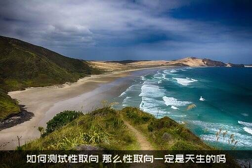 如何测试性取向？那么性取向一定是天生的吗？