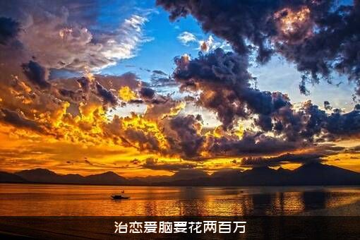 治恋爱脑要花两百万