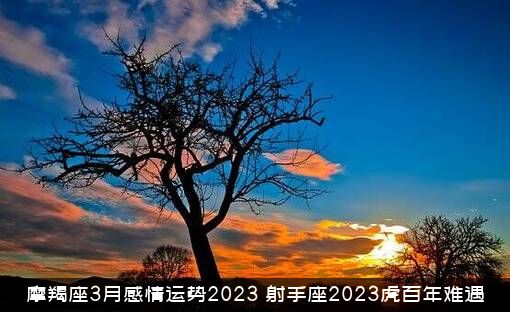 摩羯座3月感情运势2023（射手座2023虎百年难遇）