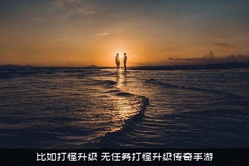 比如打怪升级（无任务打怪升级传奇手游）
