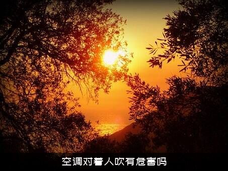 空调对着人吹有危害吗？