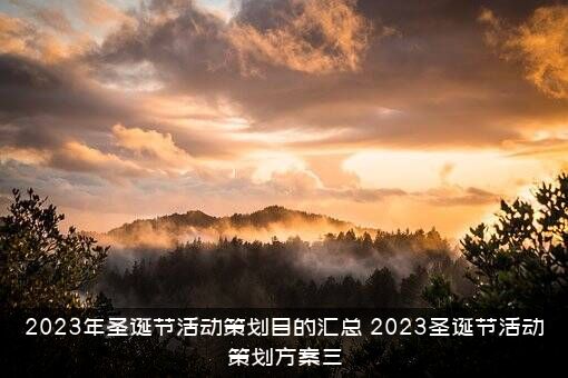 2023年圣诞节活动策划目的汇总，2023圣诞节活动策划方案三