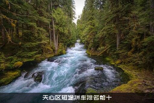 天心区短途拼车排名前十