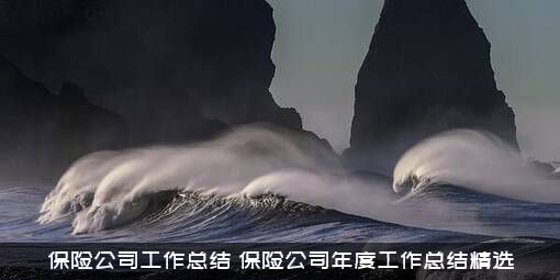 保险公司工作总结（保险公司年度工作总结精选）
