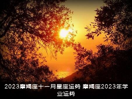 2023摩羯座十一月星座运势（摩羯座2023年学业运势）
