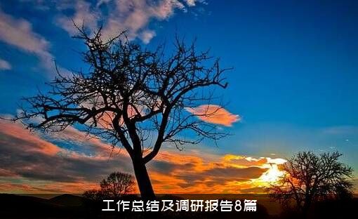 工作总结及调研报告8篇