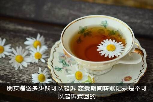 朋友赠送多少钱可以起诉？恋爱期间转账记录是不可以起诉要回的？