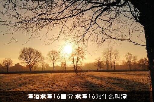 潭酒紫潭16售价，紫潭16为什么叫潭？