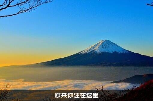 原来你还在这里
