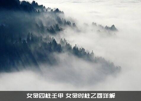 女命四柱壬申（女命时柱乙酉详解）