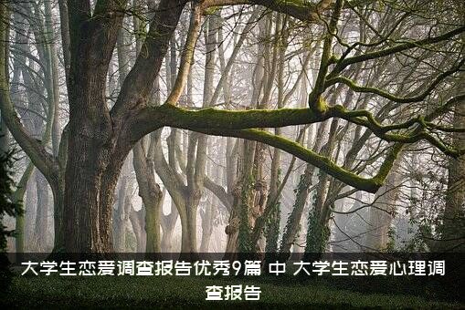 大学生恋爱调查报告优秀9篇，中，大学生恋爱心理调查报告