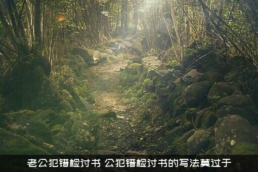 老公犯错检讨书（公犯错检讨书的写法莫过于）
