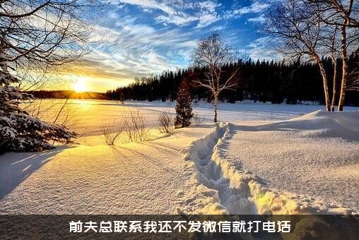 前夫总联系我还不发微信就打电话